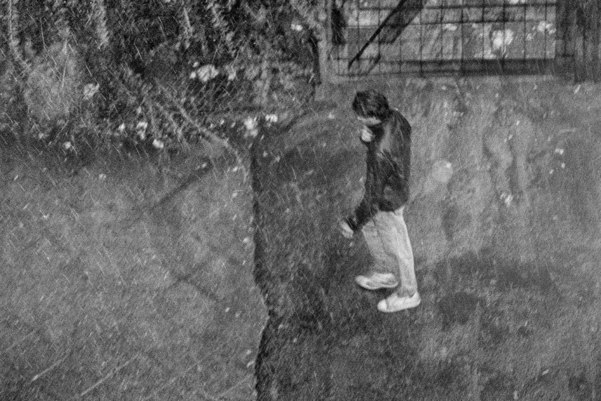 M1984D_BerlinOben02320